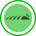 Landscape Preparation