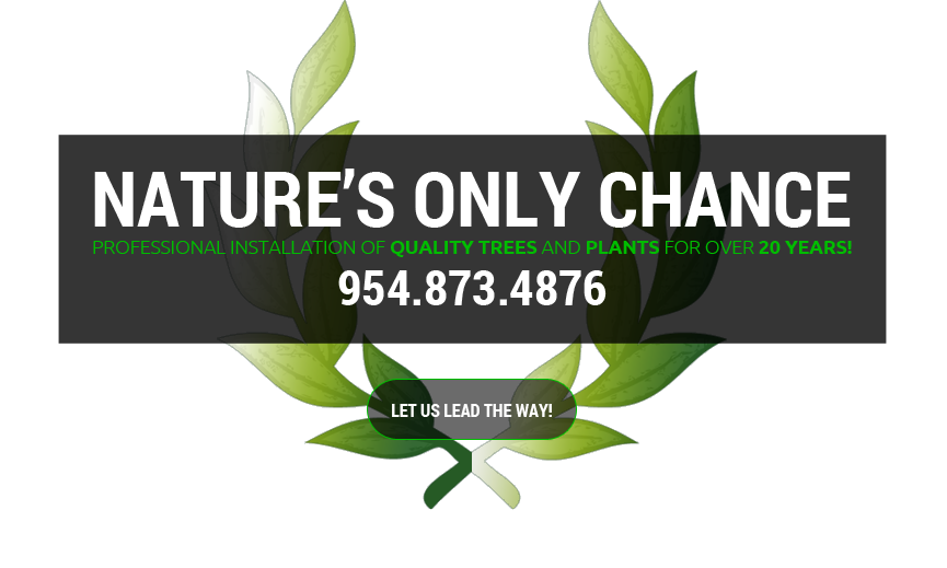 Natures Only Chance