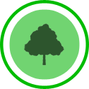 Plant & Tree Sales